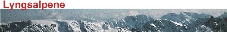 Lyngsalpene